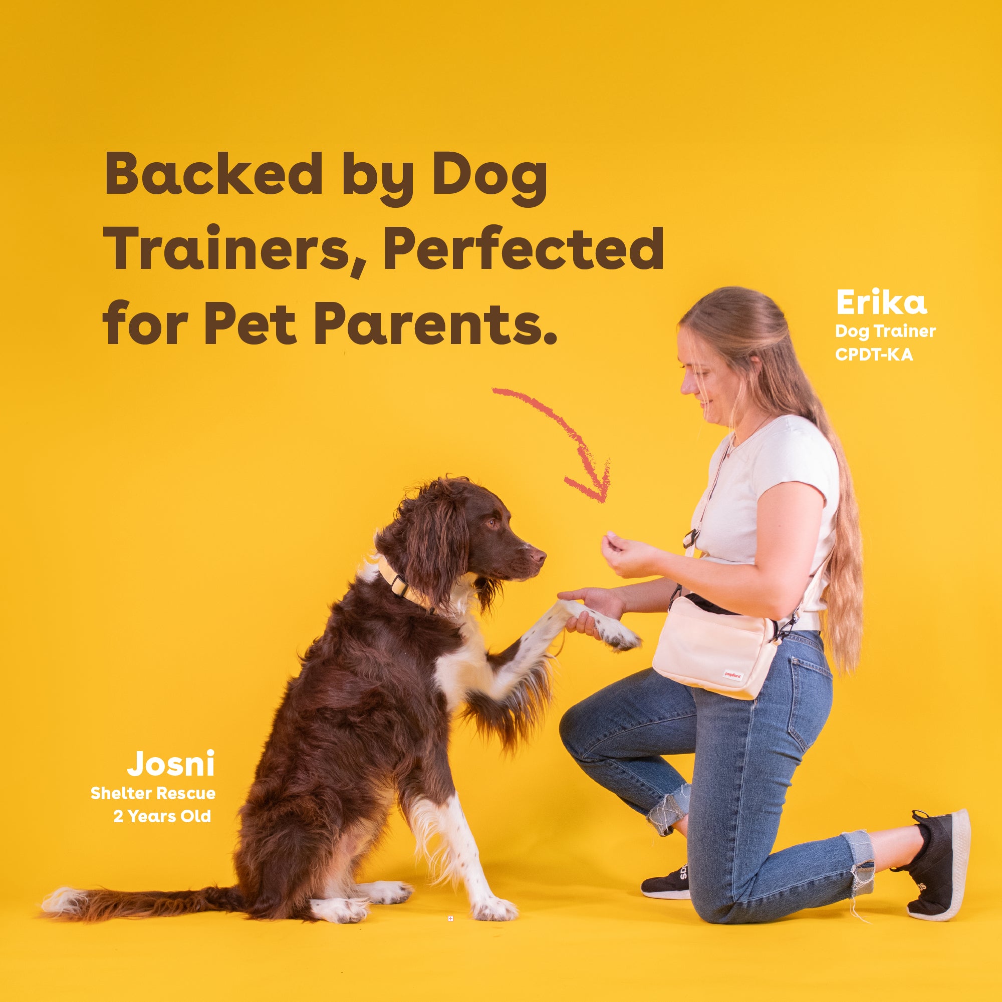 Cheddar Training Treats - product image 5