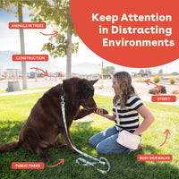 Cheddar Training Treats