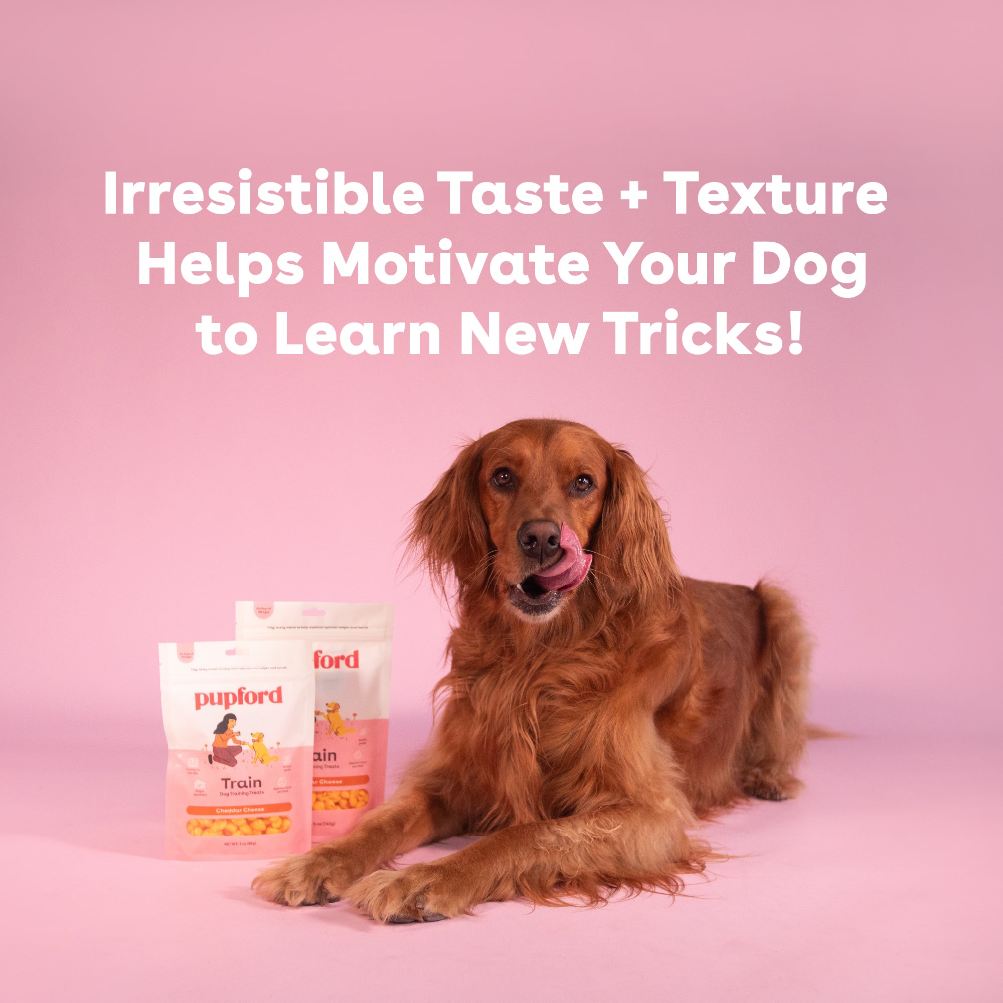Cheddar Training Treats