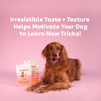Cheddar Training Treats