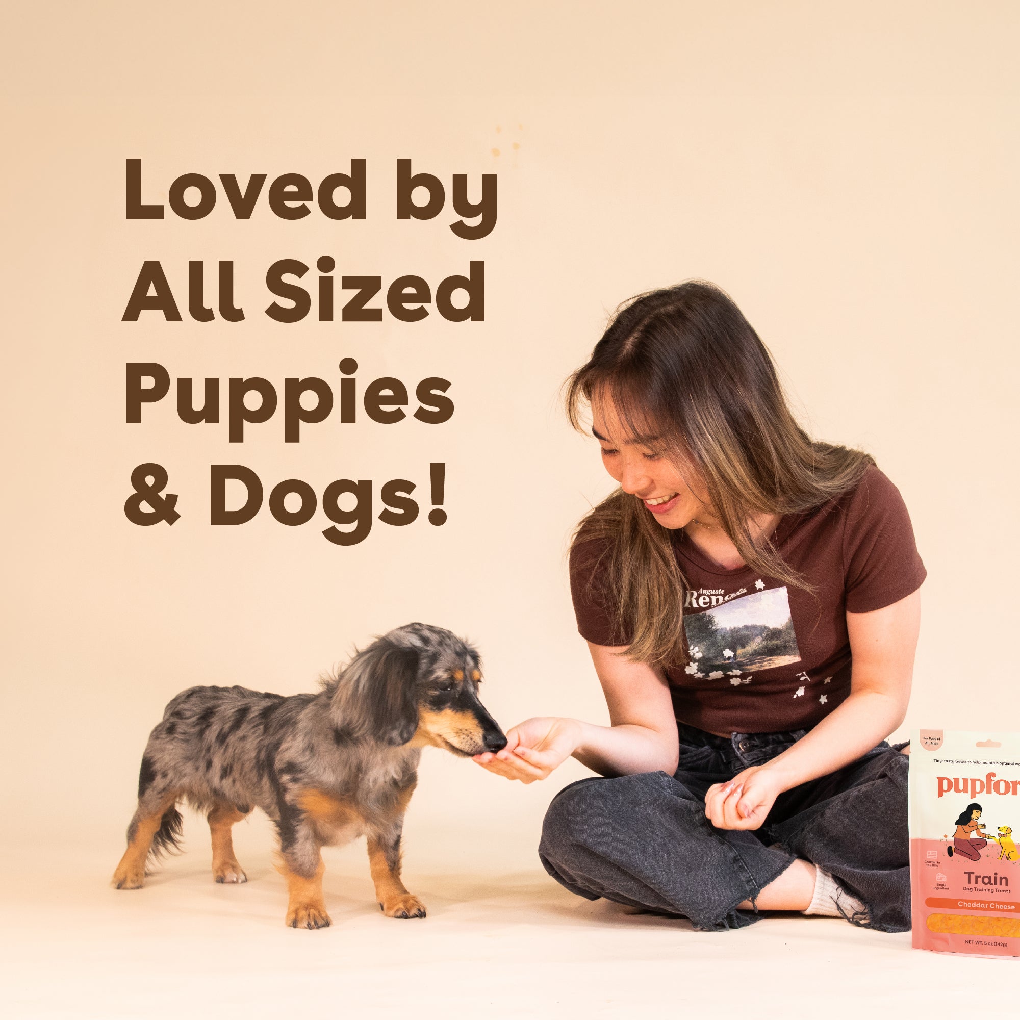 Cheddar Training Treats