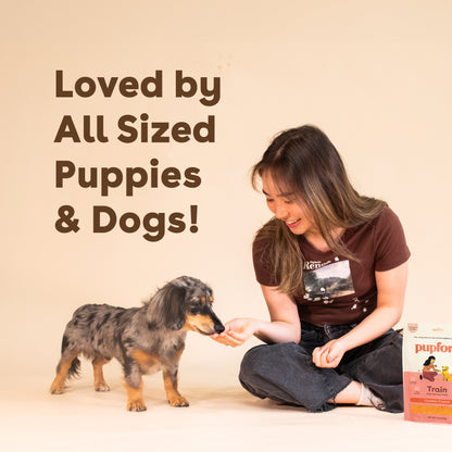 Cheddar Training Treats