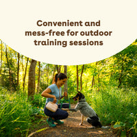 Cheddar Training Treats