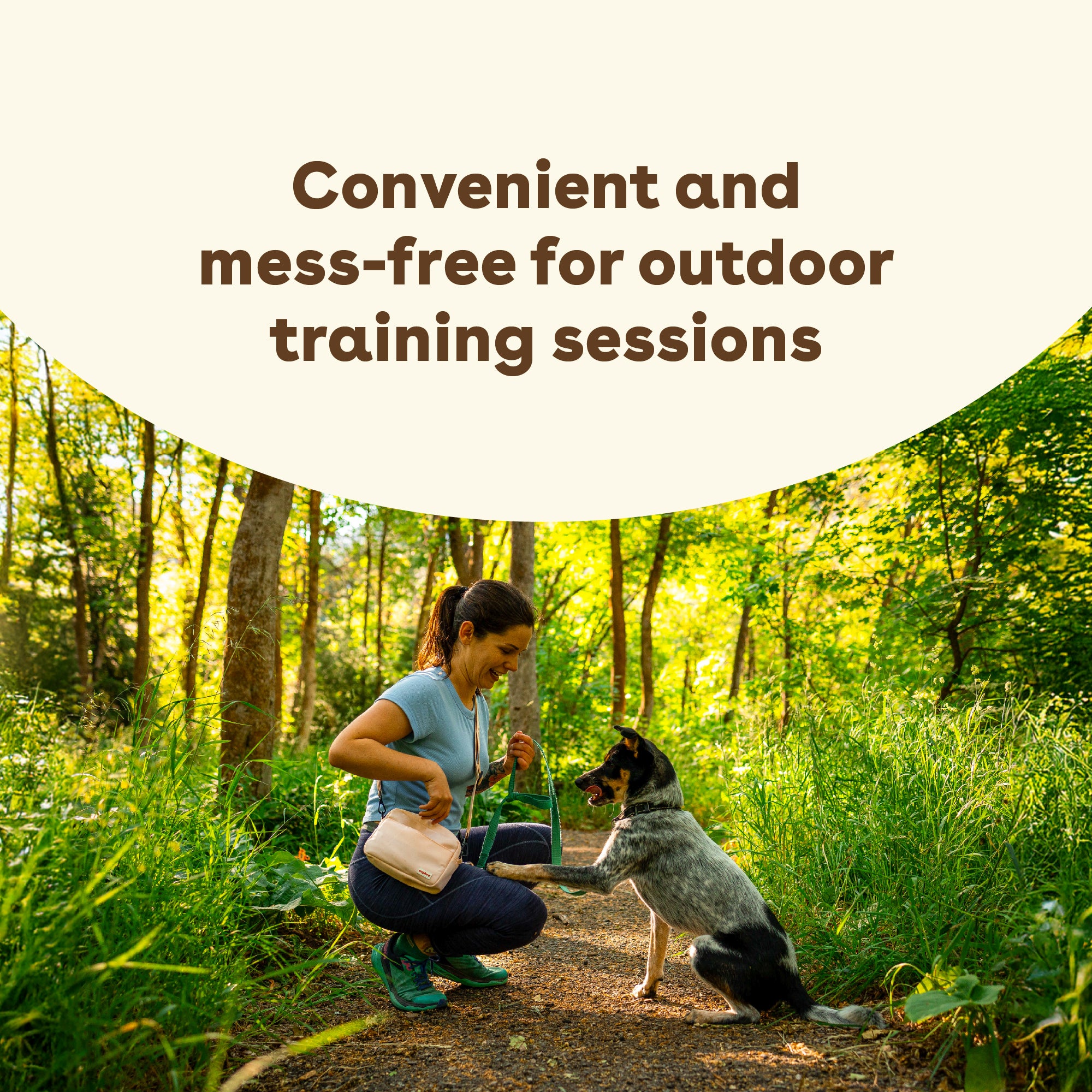 Cheddar Training Treats - product image 8
