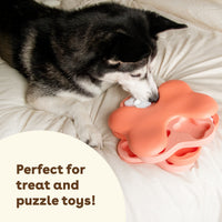 Cheddar Training Treats