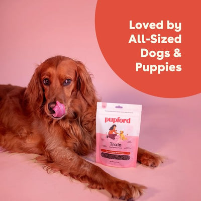 Soft & Chewy Beef Training Treats - Descripción