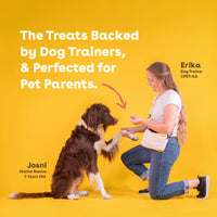 Freeze Dried Training Treats