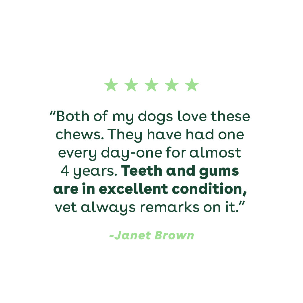 review of pupford dental chews | Pupford