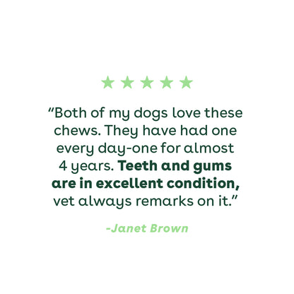 review of pupford dental chews | Pupford