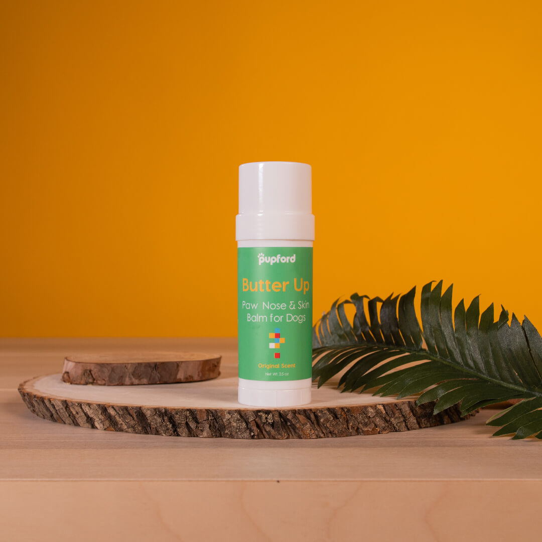 stylized image of butter up dog paw balm next to wood and plants | Pupford 