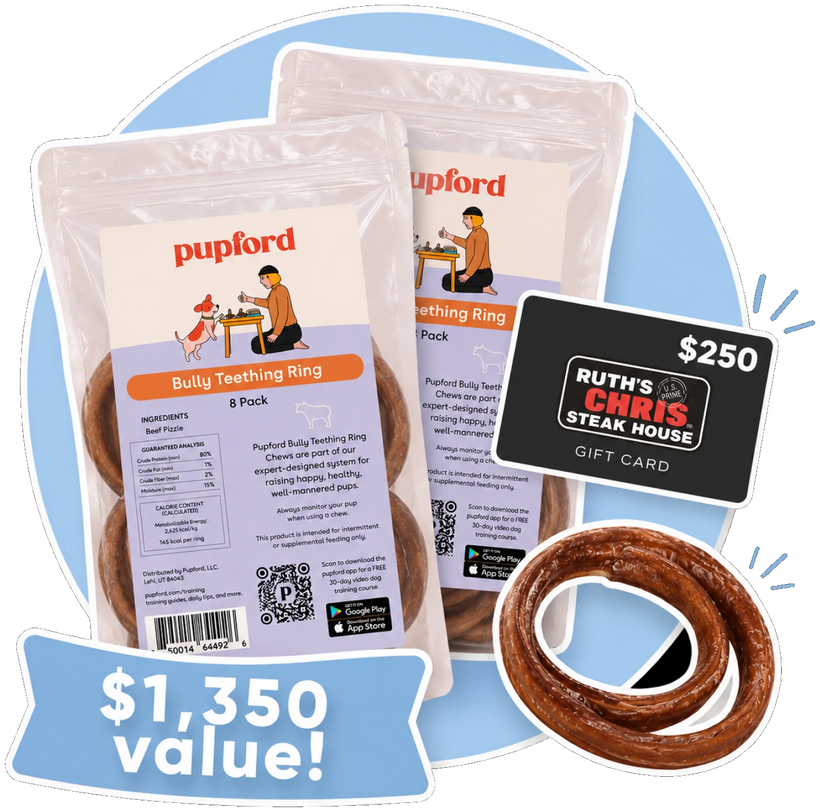 Giveaway prize bundle with gift card and bully ring