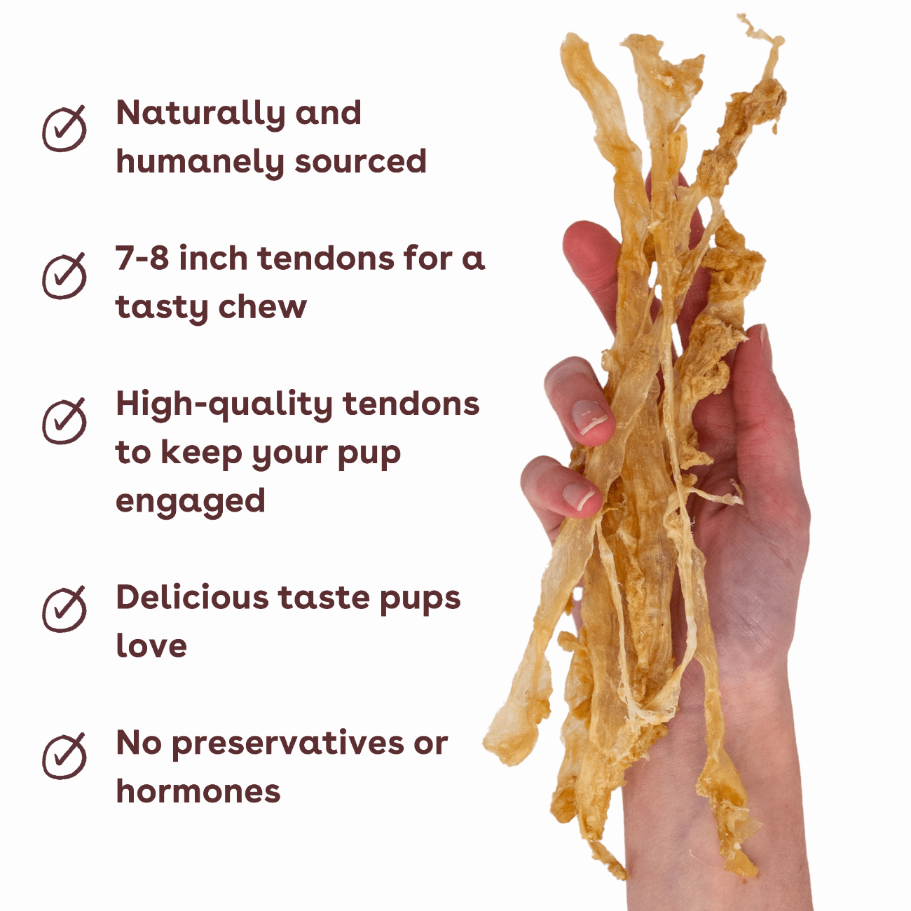 turkey tendon dog chews in hand with benefits like low calories and a delicious taste | Pupford