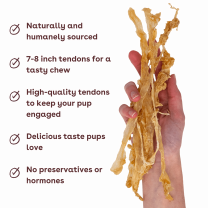 turkey tendon dog chews in hand with benefits like low calories and a delicious taste | Pupford