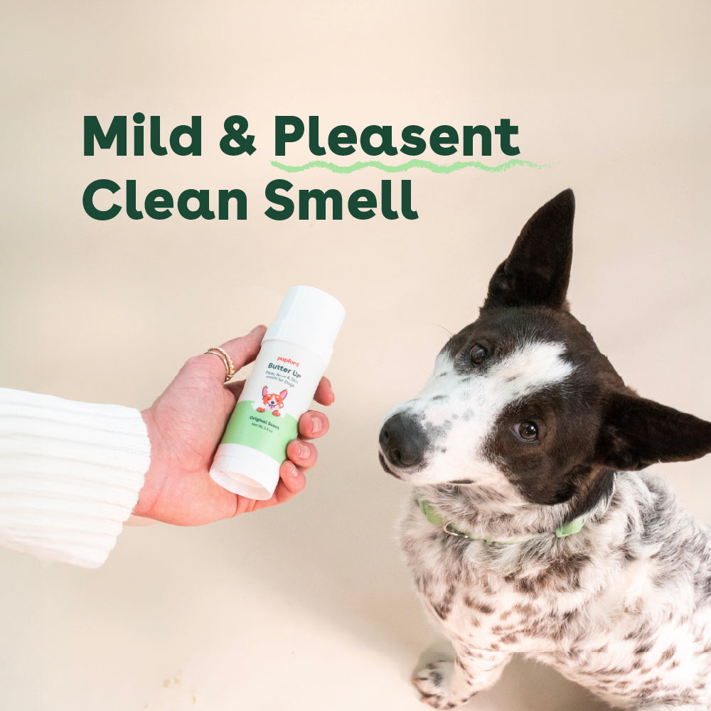 woman holding a paw balm next to a dog with text that says mild and pleasant clean smell | Pupford