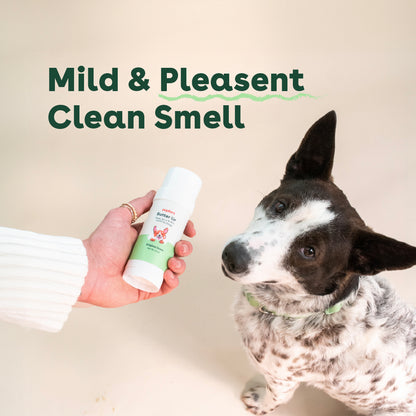 woman holding a paw balm next to a dog with text that says mild and pleasant clean smell | Pupford
